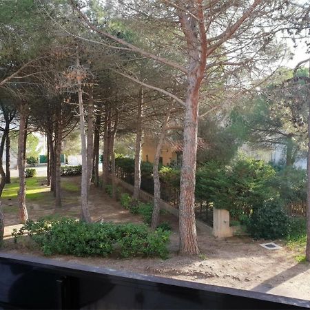 Appartement T2 A 50M De La Plage Avec Balcon Et Parking - Argeles-Sur-Mer - Fr-1-388-43 Exterior photo